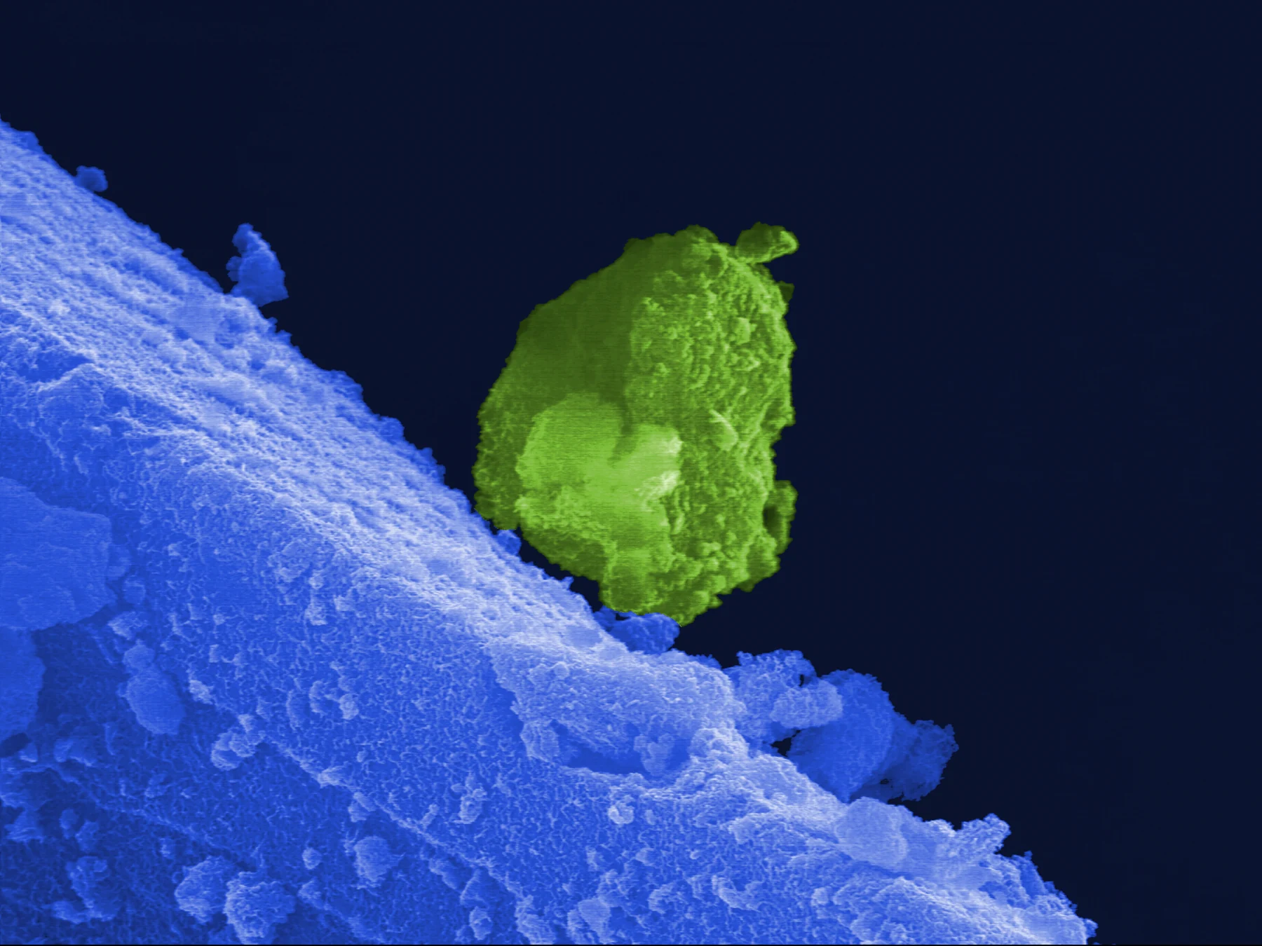 A green pear-shaped microcrystal stands on a blue textured surface in a false-colour electron micrograph.