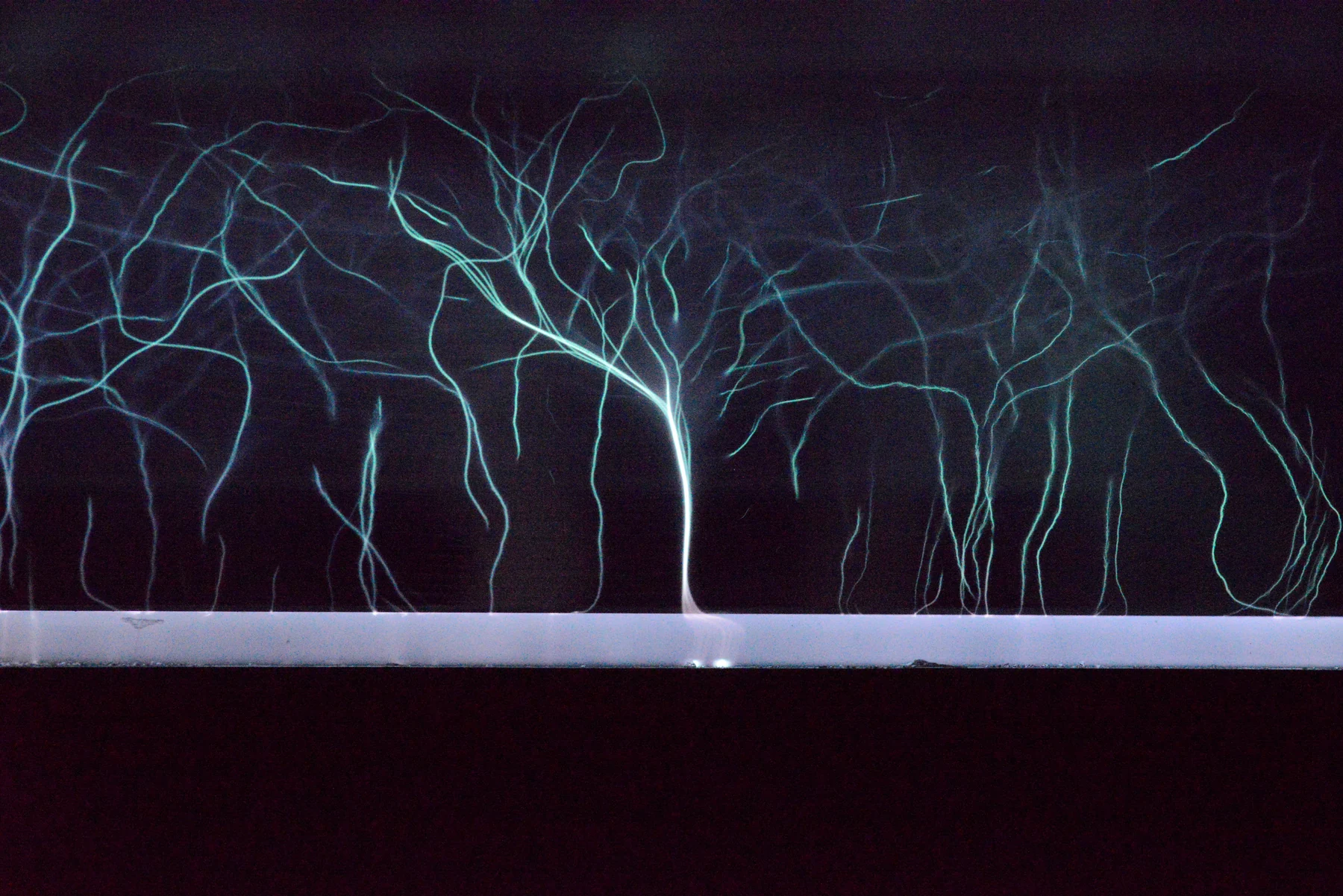 Fine blue-violet plasma filaments branch between two horizontal laboratory electrodes.