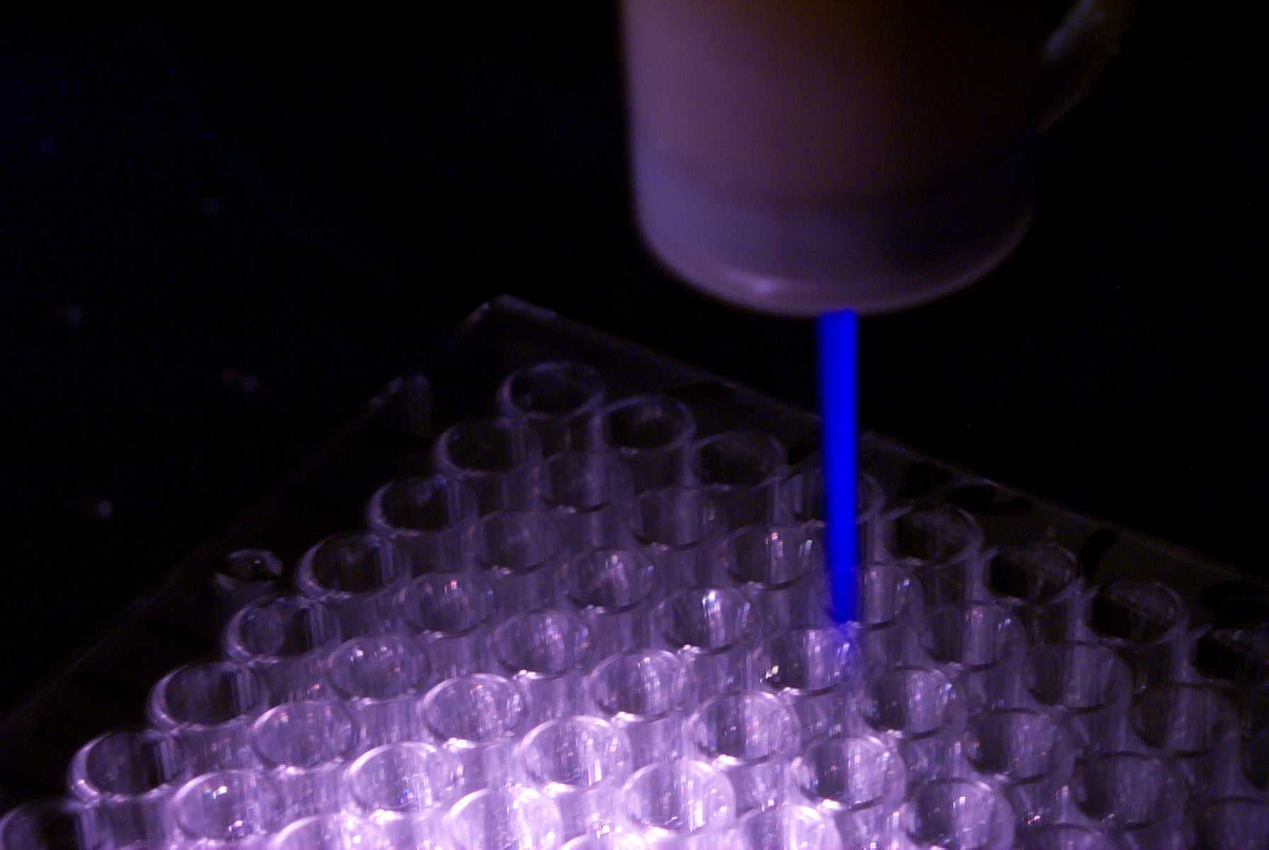 A blue low-temperature plasma plume shines onto a transparent laboratory microplate.